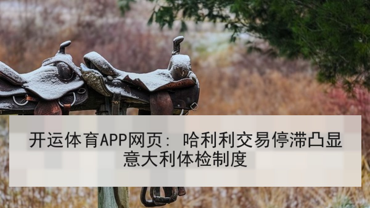 开运体育APP网页: 哈利利交易停滞凸显意大利体检制度 开运体育APP网页: 哈利利交易停滞凸显意大利体检制度