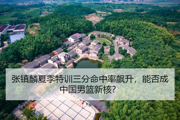 张镇麟夏季特训三分命中率飙升，能否成中国男篮新核？