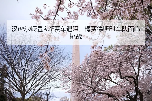 han-mi-er-dun-shi-ying-xin-sai-che-yu-zu-mei-sai-de-si-che-dui-mian-lin-tiao-zhan-2-493.jpg