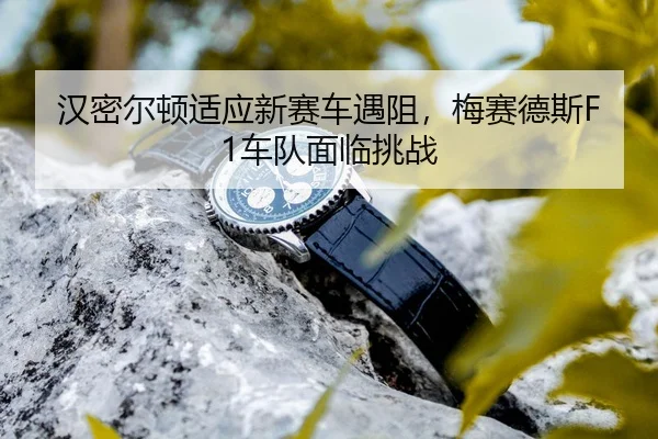 han-mi-er-dun-shi-ying-xin-sai-che-yu-zu-mei-sai-de-si-che-dui-mian-lin-tiao-zhan-3-379.jpg