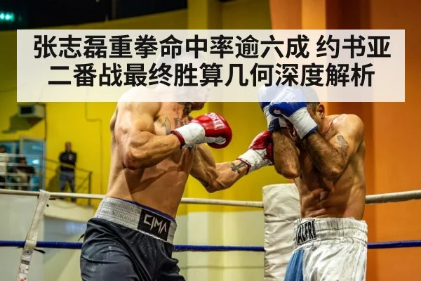 张志磊重拳命中率逾六成 约书亚二番战最终胜算几何深度解析